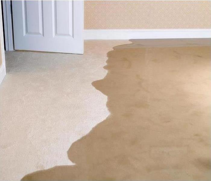 beige carpet with dark part from water damage
