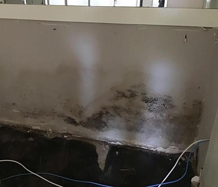 Mold in Kenner resident's home after storm damage